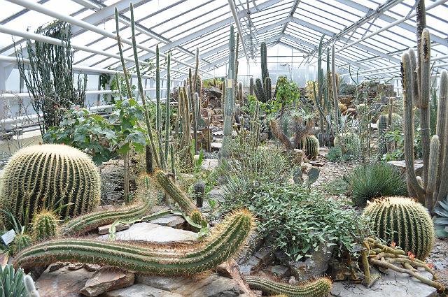 Muenchen 2011 510.jpg - München Botanischer Garten